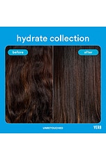 Hydrate Shampoo 12oz - thumbnail 8