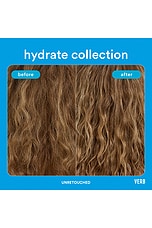 Hydrate Shampoo 12oz - thumbnail 10
