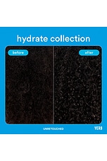 Hydrate Conditioner 12oz - thumbnail 10