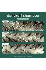 Dandruff Shampoo 8oz - thumbnail 8