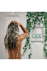 Dandruff Shampoo 8oz - thumbnail 10