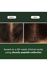Density Peptide Shampoo 12oz - thumbnail 7