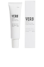 Product image of VERB Ghost Exfoliating Scalp Nectar. Click to view full details