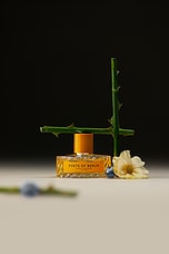 Poets Of Berlin Eau de Parfum 100ml - thumbnail 6