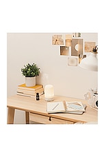 Glow Diffuser Bundle - thumbnail 9