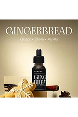 Gingerbread Push Plug-in Scent - thumbnail 6
