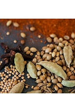 Chai Spice Push Plug-in Scent - thumbnail 7