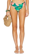Waterlily Amelia Bikini Top