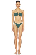 Basic Brazilian Bikini Bottom - thumbnail 7