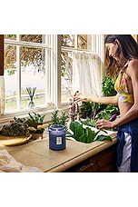 Mediterranean Lemon Large Jar Candle - thumbnail 6