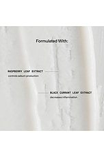 Day Maker Microcrystal Exfoliator - thumbnail 7