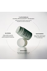 Daily Recovery Rich Barrier Cream - thumbnail 6
