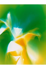 I Am Verdant Eau De Parfum - thumbnail 9