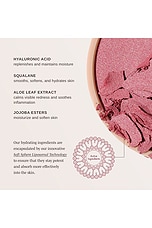 Blush All Day Hydrating Powder Blush - thumbnail 5