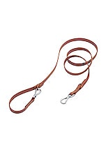 Leash