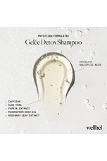 Gelee Detox Shampoo - thumbnail 6