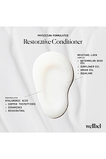 Restorative Conditioner - thumbnail 6