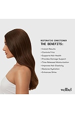 Restorative Conditioner - thumbnail 9