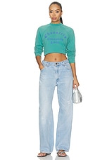 Community Center Shrunken Raglan Sweatshirt - thumbnail 7