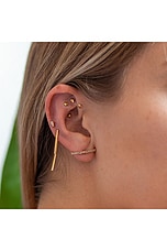 Ear Seed Kit - thumbnail 6