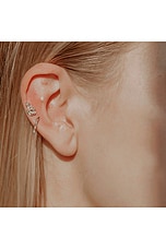 Ear Seed Kit - thumbnail 7