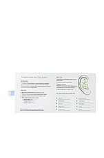 Ear Seed Kit - thumbnail 6