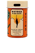 Product image of Wonder Valley Olive & Lotus Exfoliant. Click to view full details