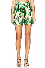 Timoni Short