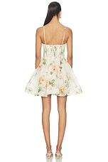 Carousel Corset Mini Dress - thumbnail 6