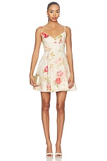 Roselight Picnic Mini Dress - thumbnail 4