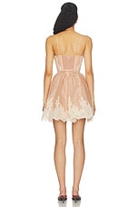 Valiant Lace Trim Mini Dress - thumbnail 6