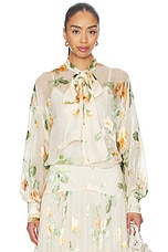 Carousel Burnout Blouse - thumbnail 4