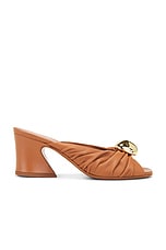 Gleam Mule 65