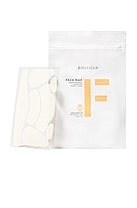 ZitSticka Face Map Surface Area Extraction Patches