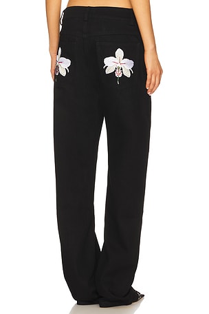 Orchid Jean 1XBLUE