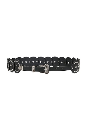 Western Disc Belt 8 Other Reasons