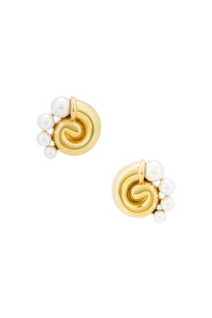 Shell Earrings 8 Other Reasons