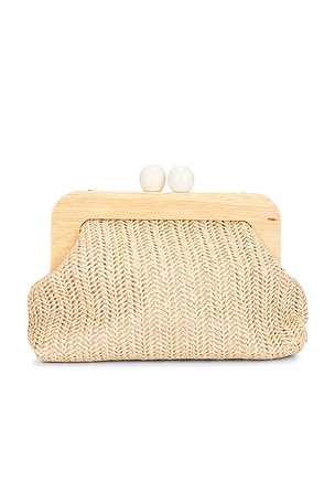 8 Other Reasons Woven Frame Clutch in Neutral