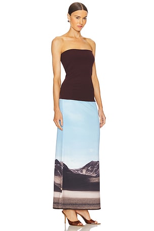 AAIZEL Landscape Two Tone Dress in Brown,Baby Blue