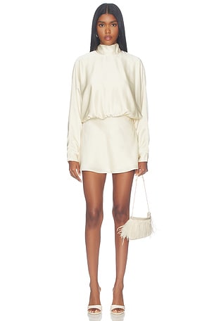 Dalora Mini Dress ALL THE WAYS