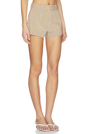 ALL THE WAYS Reed Short in Brown,White