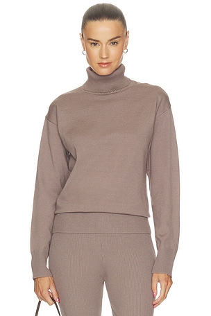 Laney Turtleneck Sweater ALL THE WAYS
