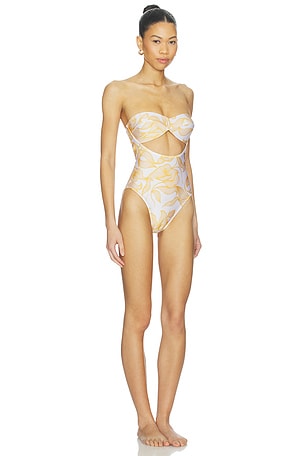ADRIANA DEGREAS Foliage Cut Out Swimsuit in Yellow