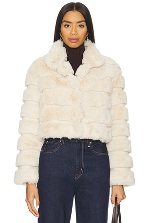 Goldie Jacket Adrienne Landau