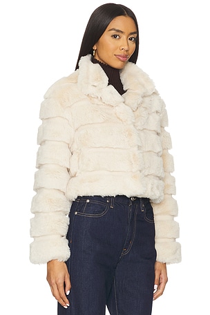 Adrienne Landau Goldie Jacket in Cream