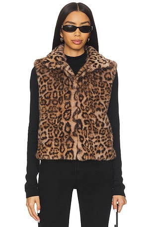 Printed Rabbit Vest Adrienne Landau