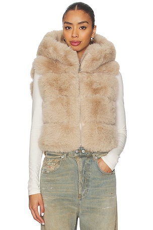 Landau Vest Adrienne Landau
