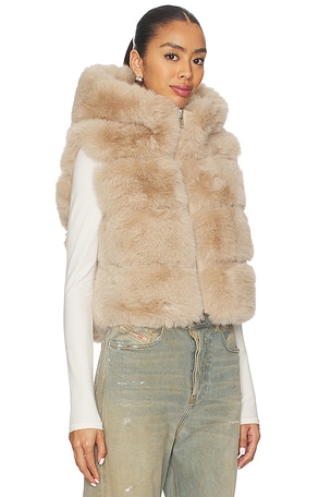 Adrienne Landau Landau Vest in Brown