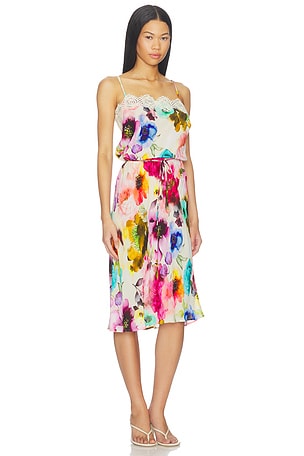 AFRM Tabitha Dress in Multi