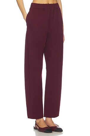 ALIGNE Markus Ponte Trouser in Wine
